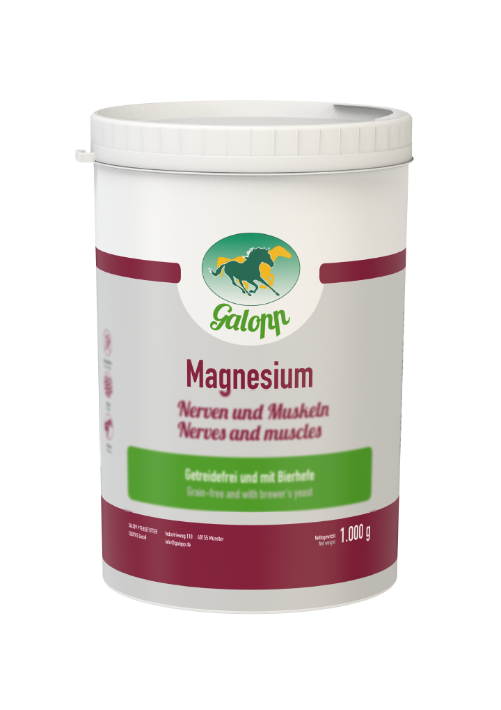 Galopp Magnesium